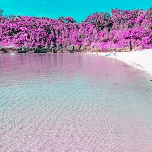 Backdrop for Reflection Sounds - Fashionable Bossa Guitar Trio - Lounge Music Channel