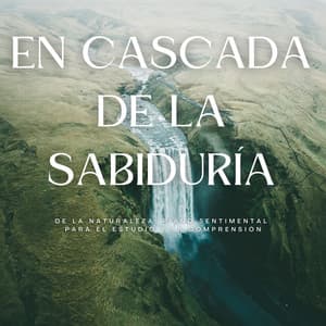 En Cascada De La Sabiduría De La Naturaleza: Piano Sentimental Para El Estudio Y La Comprensión - Agua calmante
