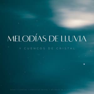 Patas Y Charcos: Cuencos De Cristal Y Melodías De Lluvia Para Perros - Hippidion