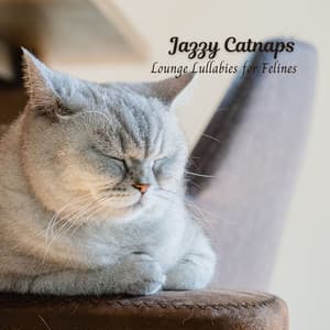Jazzy Catnaps: Lounge Lullabies for Felines - Revision Jazz