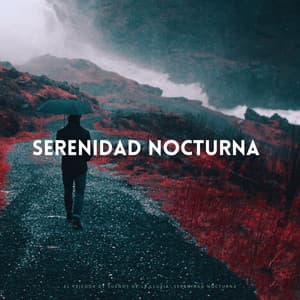 El Tejedor De Sueños De La Lluvia: Serenidad Nocturna - Dulces Sueños