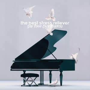 The Best Stress Reliever: Solo Piano Calm Melodies - Easy Listening Relaxation Piano Radio