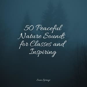 50 Peaceful Nature Sounds for Classes and Inspiring - Study Power