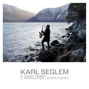 Ei aning grønt - Karl Seglem