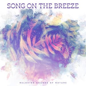 Song on the Breeze - Relaxing Sounds Of Nature
