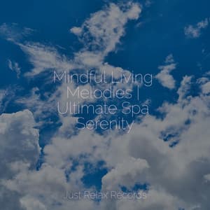Mindful Living Melodies | Ultimate Spa Serenity - New Age