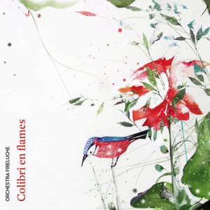 Colibrí en Flames - Orchestra Fireluche
