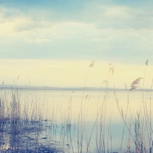 Sleep Symphony: Stream of Conscious Rest - Sleep Alpha Waves