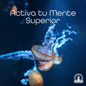 Activa tu Mente Superior: Música de Cura Profunda para o Corpo, Alma e Espírito - Meditação Espiritualidade Musica Academia