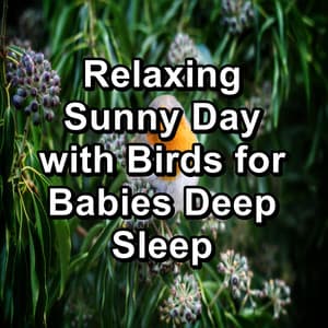 Relaxing Sunny Day with Birds for Babies Deep Sleep - Bird Sounds