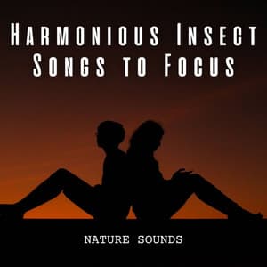Nature Sounds: Harmonious Insect Songs to Focus - Nature Radio 1