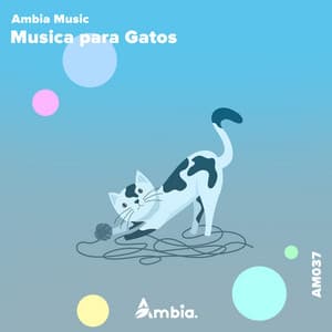 Musica Para Gatos - Ambia Music