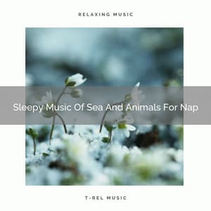 Sleepy Music Of Sea And Animals For Nap - The Outdoor Library