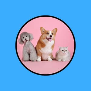 Music for Cats and Dogs - Dog Relaxation