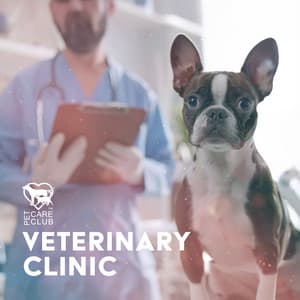 Veterinary Clinic - Pet Care Club