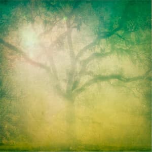 I Am Lost Before Me - Byelti