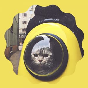 Music for Kitten Relax Time - Jazz Quintet - Calming Music for Cats