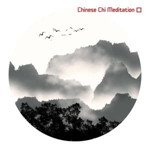 Chinese Chi Meditation - Tai Chi And Qigong