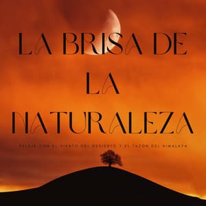 La Brisa De La Naturaleza: Relaje Con El Viento Del Desierto Y El Tazón Del Himalaya - Sonidos de la naturaleza en todo el mundo