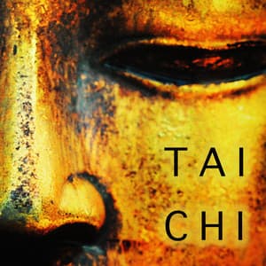Tai Chi Chuan - Ambient Music for Taichi Exercises - Ambient