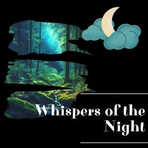 Whispers of the Night - Night Sounds Channel