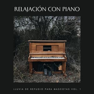 Relajación Con Piano: Lluvia De Refugio Para Mascotas Vol. 1 - Piano Relajante