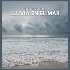 Sonido de Lluvia en el Mar - Para Dormir