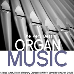 The Very Best Organ Music - Michael Schneider