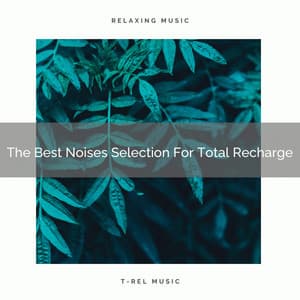 The Best Noises Selection For Total Recharge - Baby White Noise / White Noise for Babies