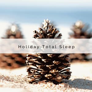 3 2 1 Holiday Total Sleep - Kids Christmas Favorites