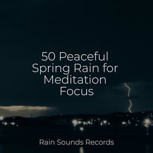 50 Peaceful Spring Rain for Meditation Focus - Spa Relaxation