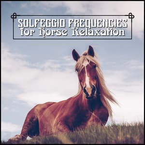 Solfeggio Frequencies for Horse Relaxation: Reduce Horses Anxiety & Stress, Calm Your Horse Down, Music for Horses - Calm Pets Music Academy