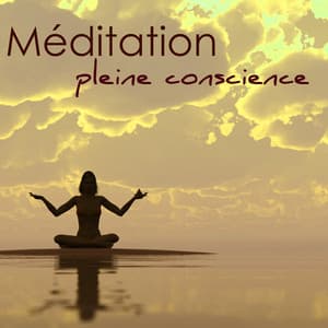 Méditation pleine conscience – Musique relaxante pour yoga, méditation, reiki et méditation de pleine conscience - Oasis of Meditation