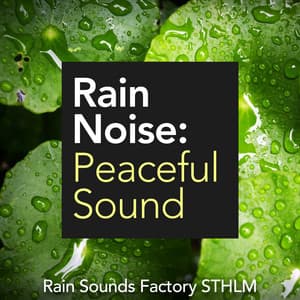 Rain Noise: Peaceful Sound - Rain Sounds Factory STHLM