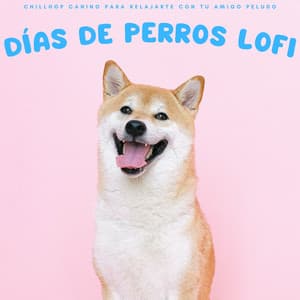 Días De Perros Lofi: Chillhop Canino Para Relajarte Con Tu Amigo Peludo - Ritmos Lofi Hop-Hop