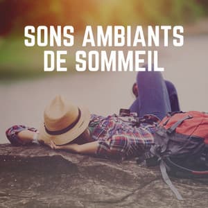Sons Ambiants de Sommeil - Sérénité Musique Spa