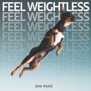 Feel Weightless - Dog Music