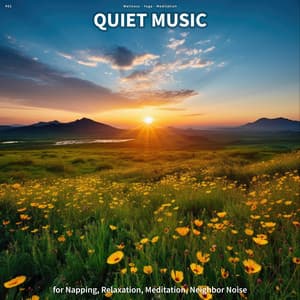 #01 Quiet Music for Napping, Relaxation, Meditation, Neighbor Noise - Wellness