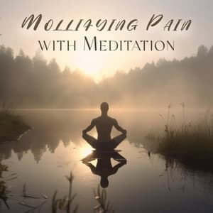 Mollifying Pain with Meditation: Quieting Sounds for Solace, Find Your Comfort Zone - Healing Meditation Zone