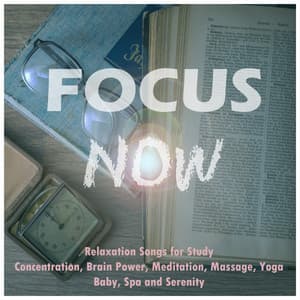 Focus Now: Relaxation Songs for Study, Concentration, Brain Power, Meditation, Massage, Yoga, Baby, Spa and Serenity - Brain Power