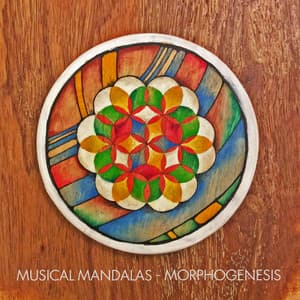 Morphogenesis - Musical Mandalas
