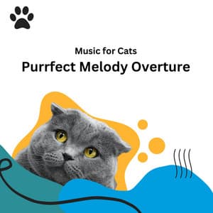 Music for Cats: Purrfect Melody Overture - Music for Kittens