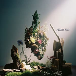 Giardino dell’anima - Asana Voce