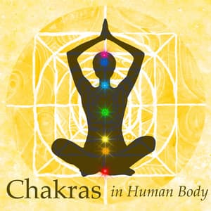Chakras in Human Body - Deep Meditation Music - Chakra's Dream