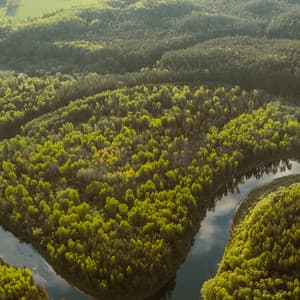 4 Seasons:Ambient Nature Sounds - Baltic Nature Sounds