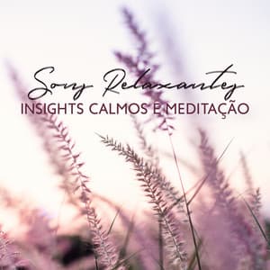 Sons Relaxantes: Insights Calmos e Meditação do Sono, Terapia de Cura, Música New Age - Hipnose Natureza Sons Coleção
