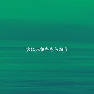 犬に元気をもらおう - Happy Sunday Morning Music