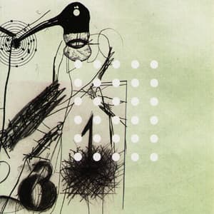 Junk Magic - Craig Taborn