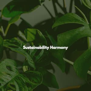 Sustainability Harmony - Música Bonita para Cafés