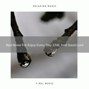 Red Noise For Enjoy Every Day, Chill, And Good Luck - The White Noise Zen & Meditation Sound Lab